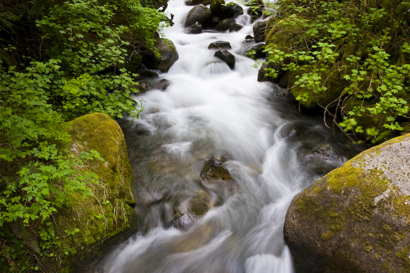 Stream Flowing Between Rocks